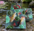 Koi Fish Pond