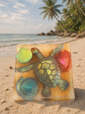 Sea Turtle and Sea Shells